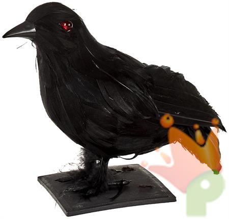 CORVO NERO CON LUCI E SUONO H.17 CM