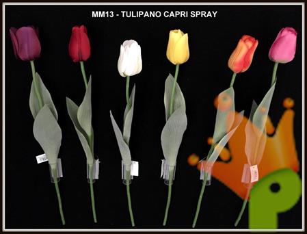 TULIPANO CAPRI SPRAY ASSORTITI