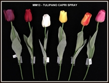TULIPANO CAPRI SPRAY ASSORTITI