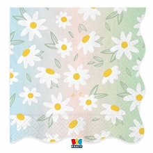 TOVAGLIOLI FIORI MARGHERITE WAVY DAISY 33X33 CM 16 PZ
