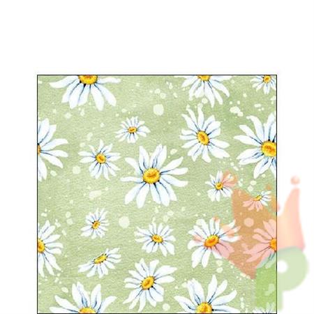 TOVAGLIOLI 3V 25X25 DAISIES GREEN 20PZ