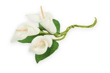 CALLA CON PISTILLO 144PZ