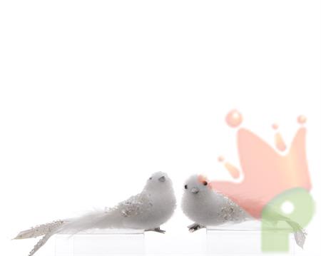 DECORAZIONE UCCELLINO CON CPIL BIANCO 3x6x17cm