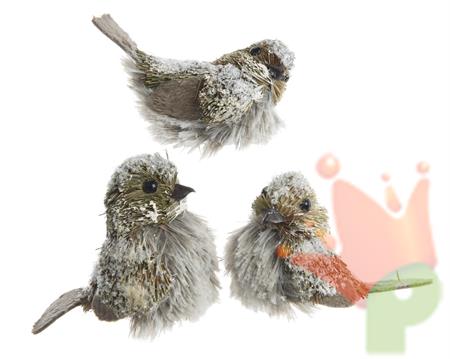 UCCELLINO NATURALE CON CLIP 9.5x6.5x9cm