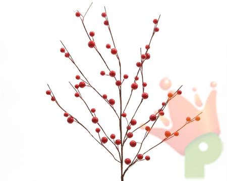 RAMO BACCHE ROSSE 15x55cm