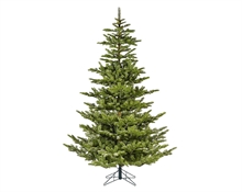 ALBERO FROSTED KOREANA SPRUCE 180 CM DIAMETRO 121 CM