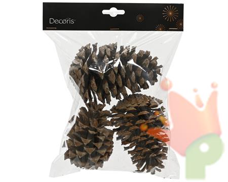 BUSTA CON PIGNE NATURALI