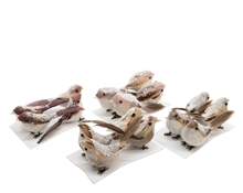 DECORAZIONI UCCELLI NATURALI 4 PZ3x10.5x3.5cm