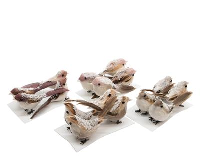DECORAZIONI UCCELLI NATURALI 4 PZ3x10.5x3.5cm