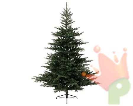 ALBERO GRANDIS FIR 300 CM 4721 RAMI DIAMETRO 182 CM