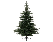 ALBERO GRANDIS FIR 300 CM 4721 RAMI DIAMETRO 182 CM