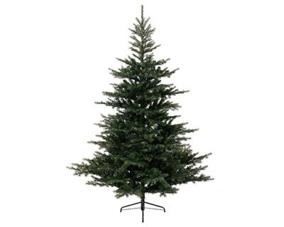 ALBERO GRANDIS FIR 300 CM 4721 RAMI DIAMETRO 182 CM