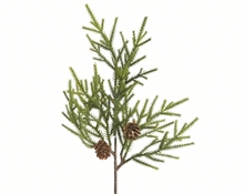 RAMO PINO VERDE CON PIGNE 5X22X28