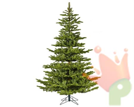 ALBERO DI NATALE 210 CM KOREANA SPRUCE