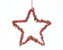 PENDENTE STELLA CON BACCHE ROSSE D.15CM