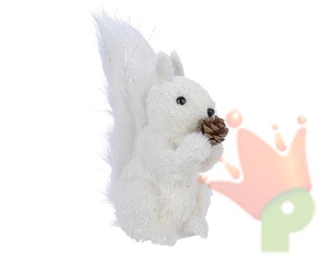 SCOIATTOLO BIANCO CON PIGNA