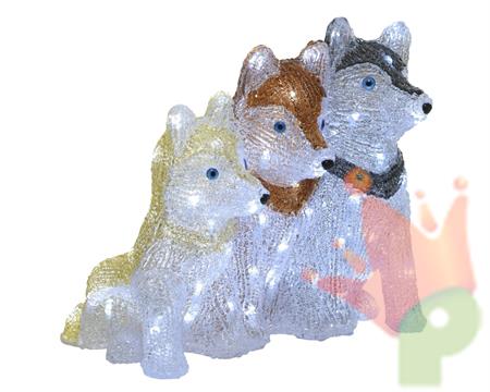 CANI DA SLITTA LUMINOSI LED N.4