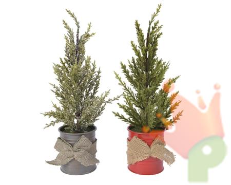 ALBERO MINI IN VASO 2 ASS