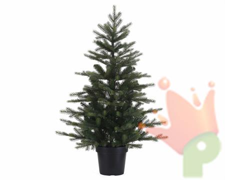 ALBERO GRANDIS IN VASO 90 CM