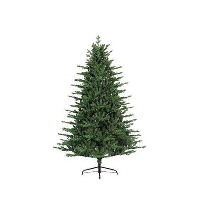 ALBERO DOUGLAS 180 CM