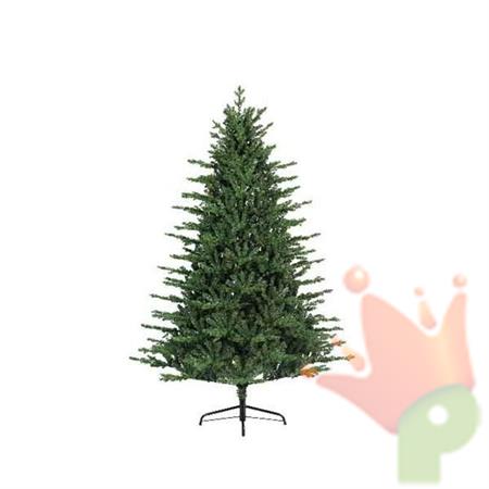 ALBERO DOUGLAS 240 CM