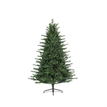 ALBERO DOUGLAS 240 CM