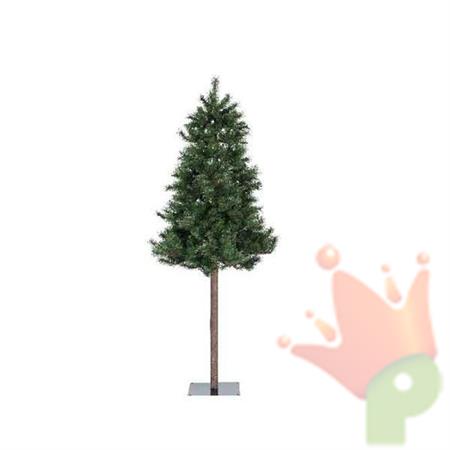 ALBERO DI NATALE 210 CM MONTANA SPRUCE SU TRONCO