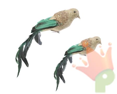 UCCELLO CON CODA LUNGA GLITTERATO