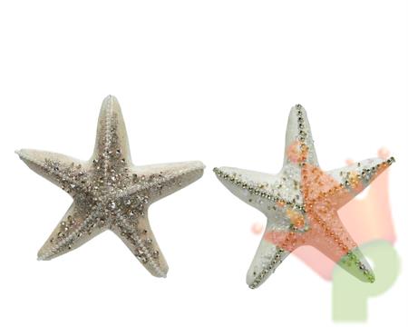 STELLA MARIANA CON GLITTER