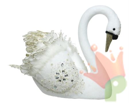 CIGNO