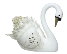 CIGNO
