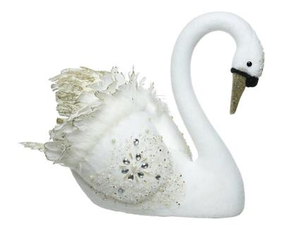 CIGNO