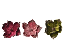 FIORE VELLUTO 38X5 CM COL ASS