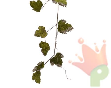 RAMO VERDE CON FOGLIE VELLUTO 120 CM