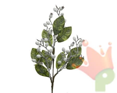 RAMO VERDE BACCHE BIANCHE