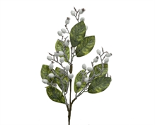 RAMO VERDE BACCHE BIANCHE