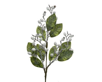 RAMO VERDE BACCHE BIANCHE