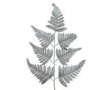 RAMO FELCE BRINATA 63X26X2 CM