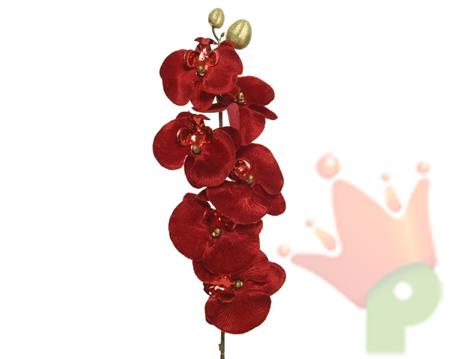 ORCHIDEA ROSSA SU STELO 67 CM