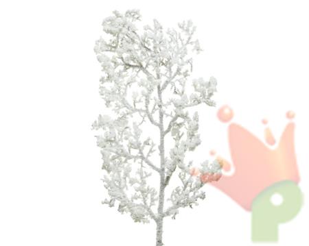 RAMO BIANCO INNEVATO
