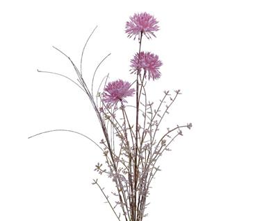 PANACE GIGANTE FUCSIA 15X7X68CM