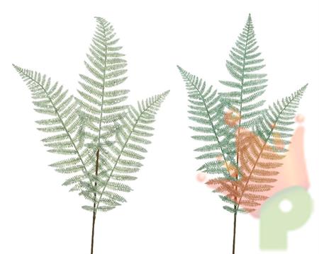 FOGLIA DI FELCE VERDE CHIARO/SCURO CON GLITTER 90CM