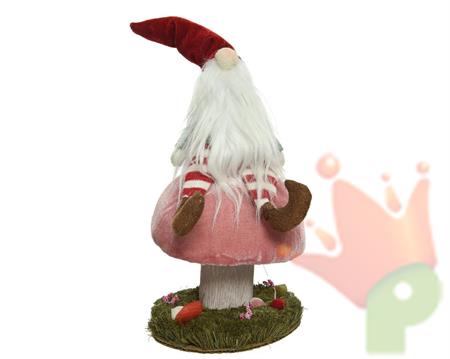 GNOMO SU FUNGO ROSA