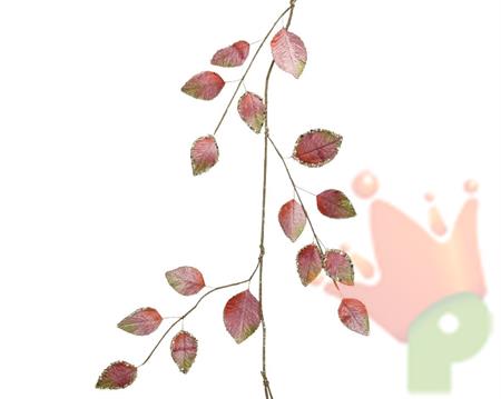 RAMO CON FOGLIE ROSA