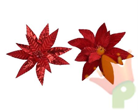 STELLA DI NATALE ROSSA