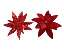 STELLA DI NATALE ROSSA