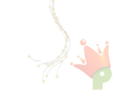 RAMO LUMINOSO 110CM 96LED BIANCO CALDO