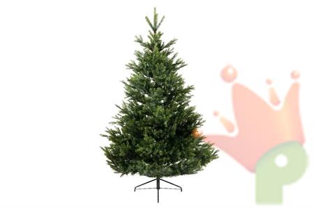 ALBERO DI NATALE 210 CM ARLBERG FIR