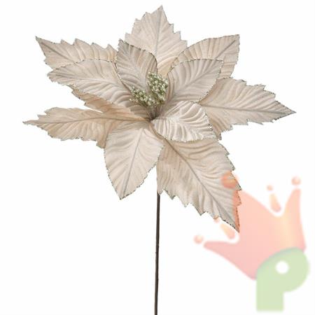 STELLA DI NATALE D. 40CM H. 70CM CHAMPAGNE