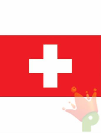 BANDIERA 90X150CM SVIZZERA